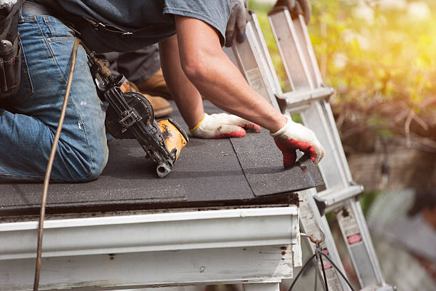 Best Roof Gutter Cleaning  in Vinton, TX